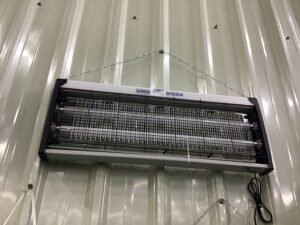 mosquito killer lamp (electric type)