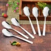 stainless steel spoon